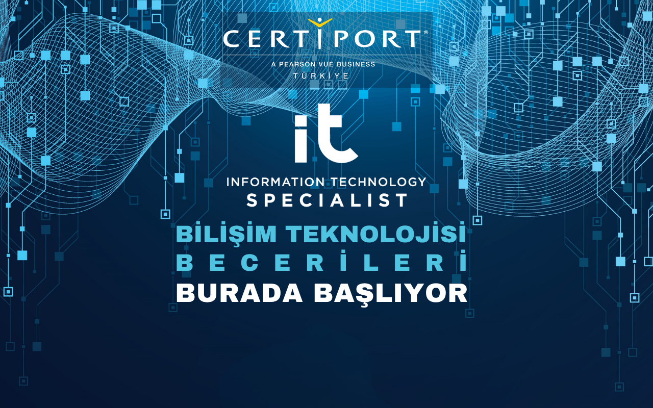 Information Technology (IT) Specialist